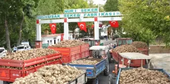 Türkiye'nin İlk Şeker Fabrikası 91. Pancar Alım Kampanyasını Başlattı