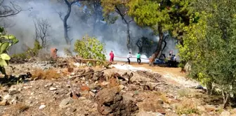 Güncelleme - Antalya'da Orman Yangını