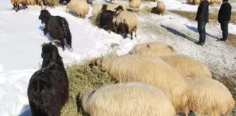 Besiciler, Zorlu Kış Mesaisine Başladı