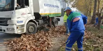 Kartepe'de Yaprak Temizliği