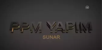 Sinema - Oldu mu Şimdi?