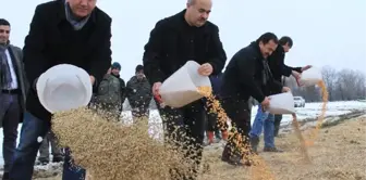 Yaban Hayvanları Kara Rağmen Aç Kalmadı