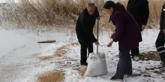 Cihanbeyli Belediyesi Kuşlara Yem Bıraktı