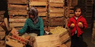 Akdeniz'in Limonu Kapadokya'da Lezzet Kazanıyor