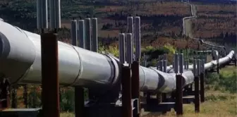 Ağrı'da Doğalgaz Sevinci