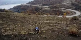 26 Bin Yıllık Fosil Ayak İzleri Korunmayı Bekliyor