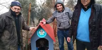 Yavru Köpeklere Kulübe Desteği