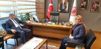 Başkan Karaosmanoğlu, Ankara'da Temaslarda Bulundu