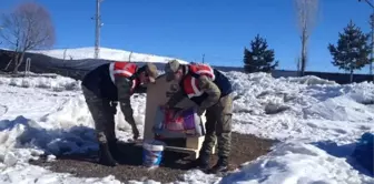 Dağpınar Jandarmadan Örnek Davranış