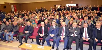 CHP'li Tezcan; 'Dilimiz Çatışma Dili Olamayacak'