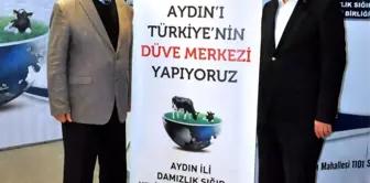 Aydın'a Damızlık Düve Yetiştiriciliği Merkezi Kurulacak