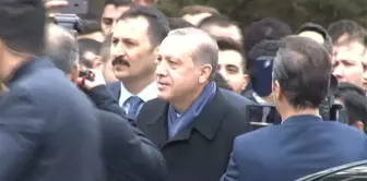 Cumhurbaşkanı Erdoğan'a Doğum Günü Kutlaması