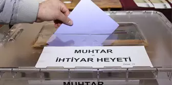 Fatsa'da 9 Yeni Muhtar Seçildi