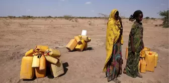 Dünya Su Konseyi'nden Afrika Devletlerine Çağrı