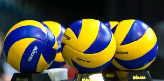 Voleybol: Efeler Ligi