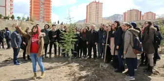 Melikgazi'de 10bin 500 Çam Fidanı Toprakla Buluştu