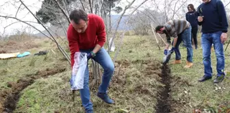 Fındıkta 'Gidya' Dönemi