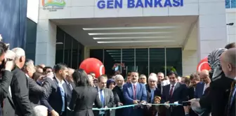 Bakan Çelik Bursa'da Gen Bankası'nın Açılışını Yaptı (2)