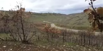 Teröristlerce Tuzaklanan Patlayıcı Vatandaş Ihbarıyla Bulundu