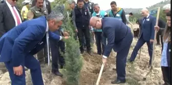 15 Temmuz Şehitleri Anısına 249 Fidan