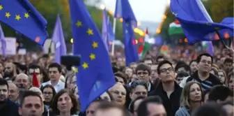 Macaristan'da Binlerce Kişi Yönetime AB Mesajı Verdi