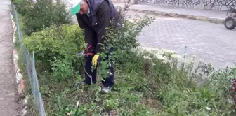 Pazarlar Belediyesinden Park ve Refüjlere Bahar Bakımı