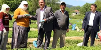 Baştuğ Çiftçi Bayramını Çiftçinin Ayağına Giderek Kutladı