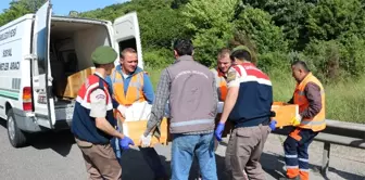 Lastiği Değiştirmek İçin Emniyet Şeridinde Bekleyen Tıra Otomobil Çarptı: 4 Ölü