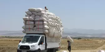 İslahiye'de Saman Satışları Başladı