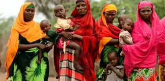 Fotoğraflarla 300 Bin Çocuğun Sokaklarda Yaşadığı Kenya