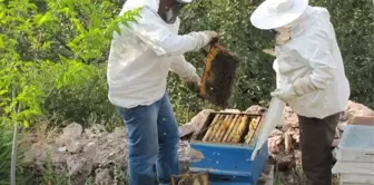 Karbasan Köyü Arıcıların Yeni Gözdesi