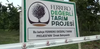 Ferrero Fındık Çiftçileri Bilgilendirmeye Devam Ediyor