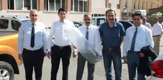 67 Bin Adet Yavru Sazan Balığı Göletlere Bırakıldı