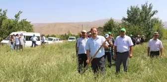 Erzincan'da İlk Kez İtalyan Çimi Alternatif Yem Bitkisi Tarla Günü Düzenlendi