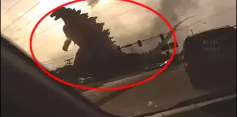 Kameralara Yakalanan 5 Gerçekçi Godzilla Görüntüleri