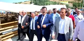 Kurban Fiyatlarındaki Artış Makul'