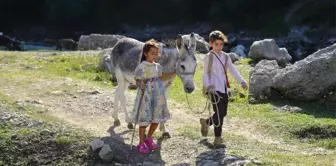 Usta Yönetmen Onur Tan'dan Sımsıcak Bir Aile Filmi: 'Bal Kaymak'