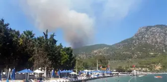 Muğla'da Orman Yangını