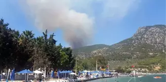 Muğla'da Ormanlık Alandaki Yangın Uzun Uğraşlar Sonrası Kontrol Altına Alındı