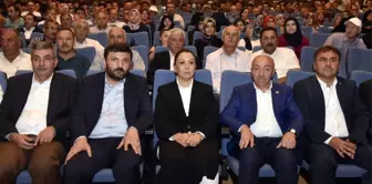 AK Parti Genel Başkan Yardımcısı Çalık'tan CHP'li İnce'ye 'Arakan' Tepkisi