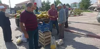 Bu Köyün Tamamı Kavun Yetiştiriyor