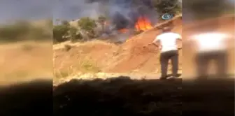 Hakkari'de Ot Yangını Korkuttu