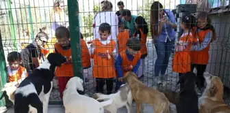 Hayvanları Koruma Gününde Miniklere Özel Etkinlikler