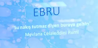 Ebru Sanatçısı Yeşil, İran'da