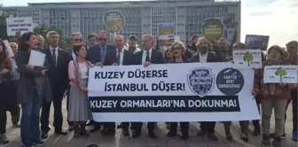 İbb Önünde Ağaç Kesme Protestosu