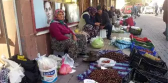 Kazdağı Kestanesinin Fiyatı 3 Liraya Düştü