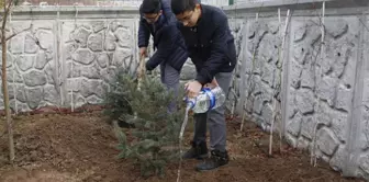 Çankırı'da 220 Adet Fidan Toprakla Buluştu