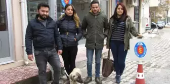 Öğrenciler, Yolda Buldukları Bitkin Köpeği Tedavi Ettirdi