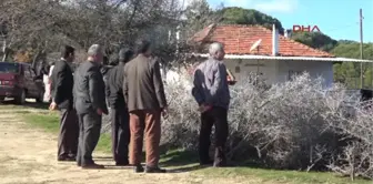 Muğla Çam Ağaçlarının Kesileceği Endişesini Yaşayan Gökgediklileri Sevindiren Karar