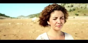 Sinema - On Adım